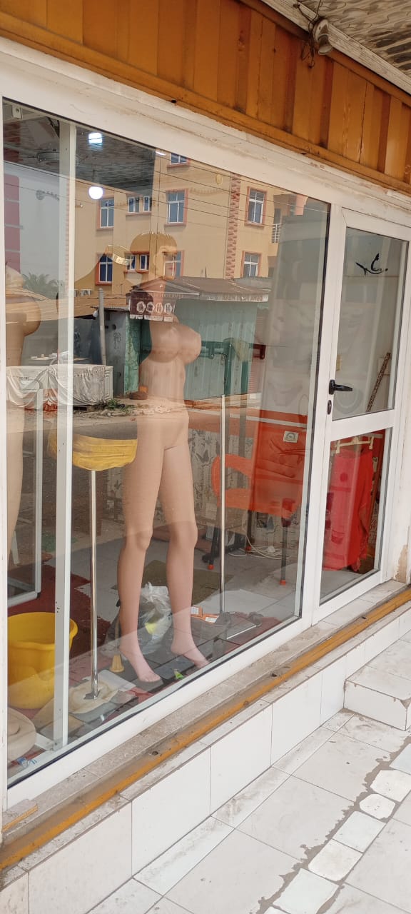 Container Shop for Sale - Image 7