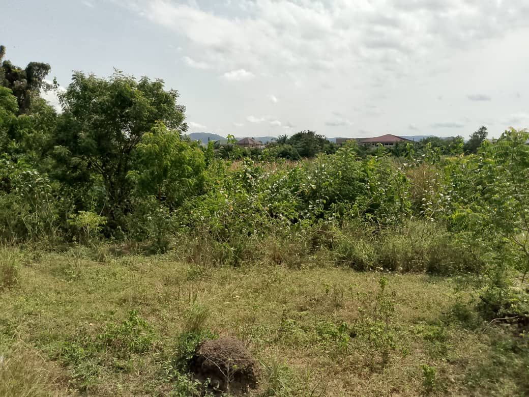 Land for Sale in Ojobi – Great Investment Opportunity - Image 4