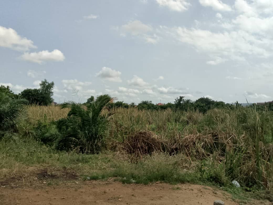 Land for Sale at Broadcasting – Kasoa - Image 1