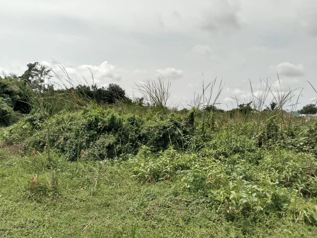 Land for Sale in Ojobi – Great Investment Opportunity - Image 5
