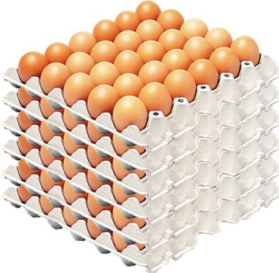Fresh Crate of Egg